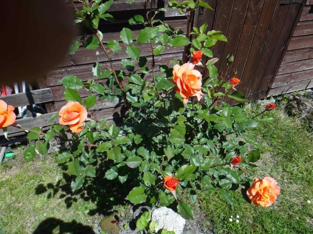 Bed and Breakfast Chez Mamie Et Papi Puynormand Exterior foto